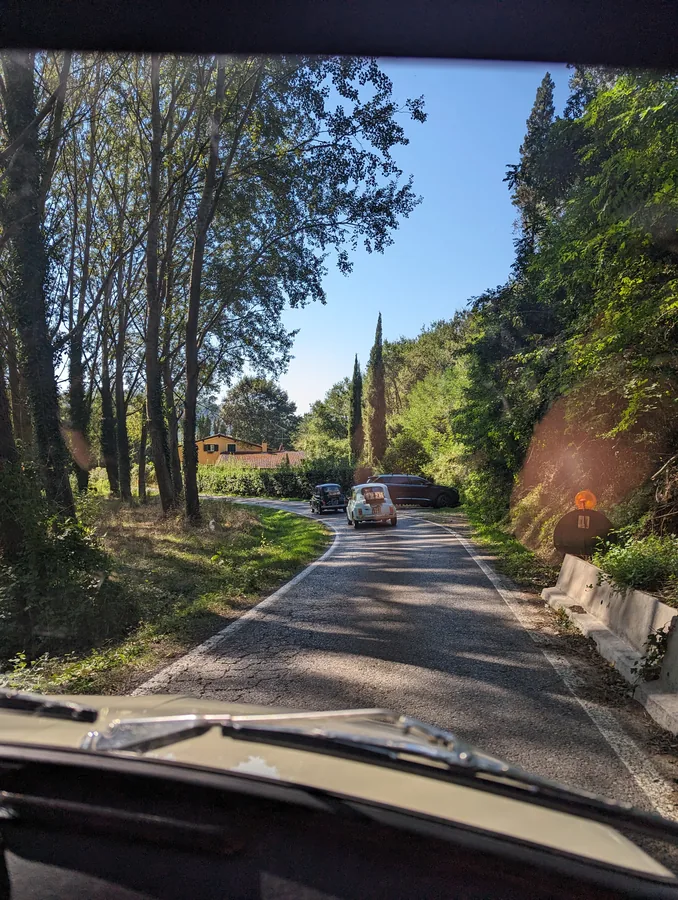 A cypress-lined road